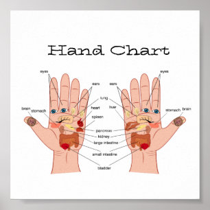 Reflexology Hand Chart