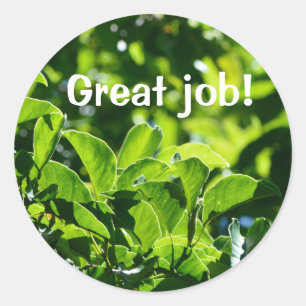 Refreshing green leaves great job teacher's classic round sticker