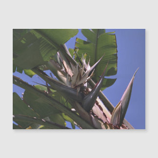 Réfrigérateur carte magnétique Oiseau blanc du Par