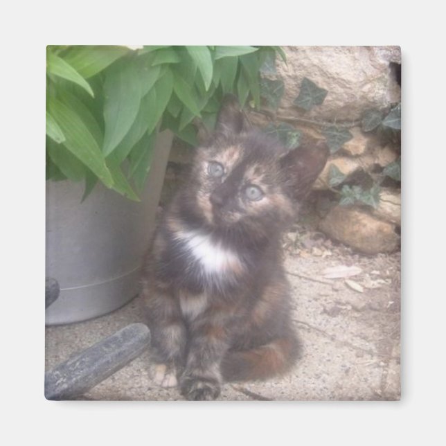 Réfrigérateur Kitty Cat Magnet (Devant)