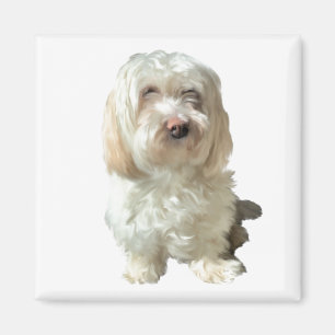 Refrigerator Magnet Havanese Dog