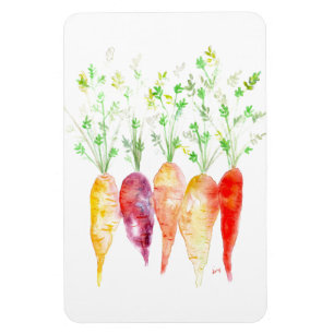 Refrigerator Magnet - Watercolor Heirloom Carrots