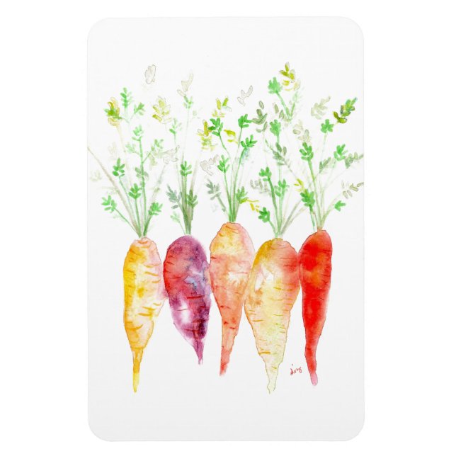 Refrigerator Magnet - Watercolor Heirloom Carrots (Vertical)