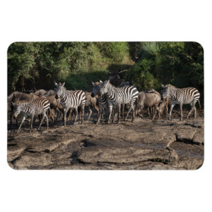 Refrigerator Magnet YOUR Photo Template 4 x 6