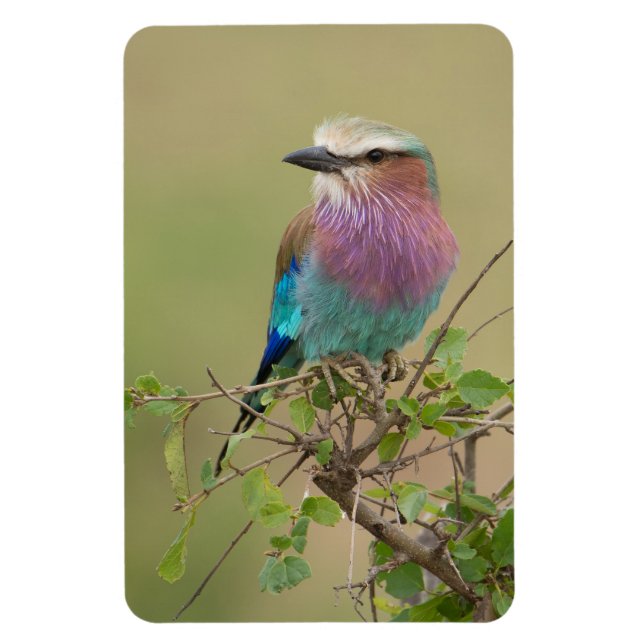 Refrigerator Magnet YOUR Photo Template 4 x 6 (Vertical)