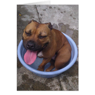 Refroidissement par une chaude journée !