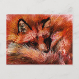 Refuge Fox Postcard
