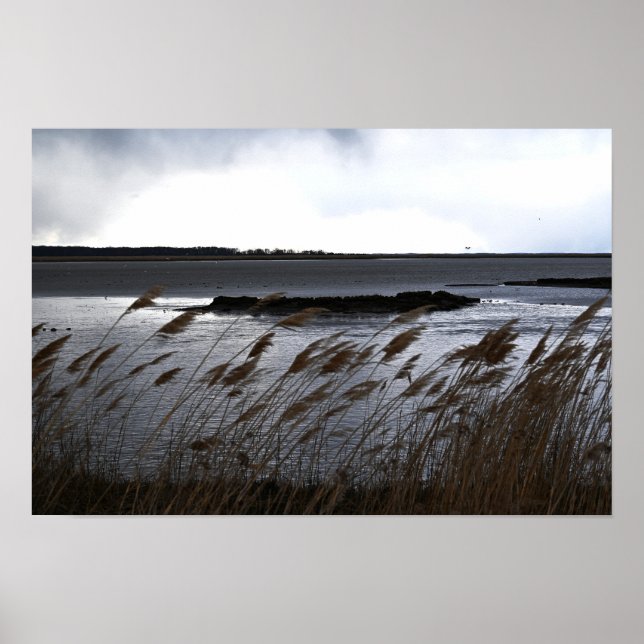 Refuge Waterscape Poster (Front)