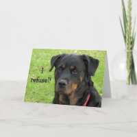 Refusing Rottweiler Get Well Card