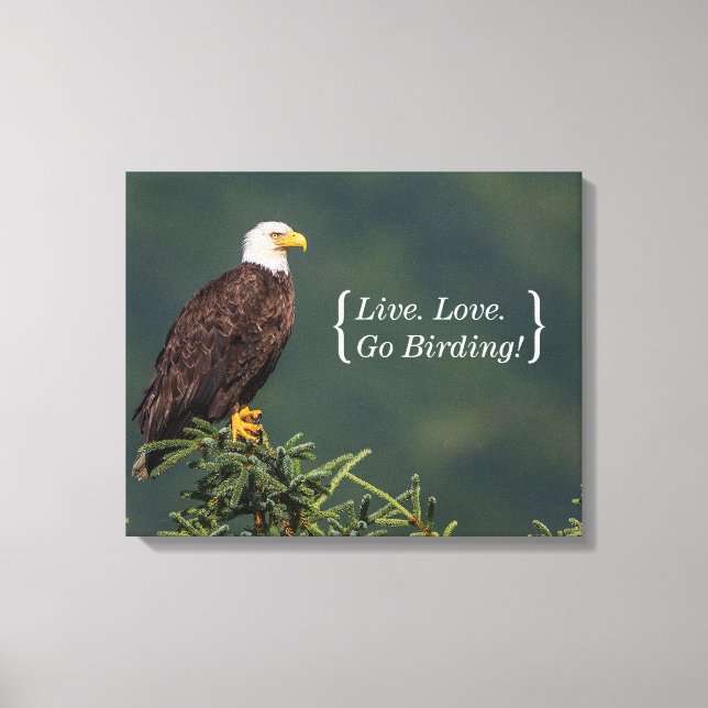 Regal Bald Eagle Canvas Print (Front)