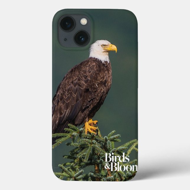 Regal Bald Eagle Case-Mate iPhone Case (Back)