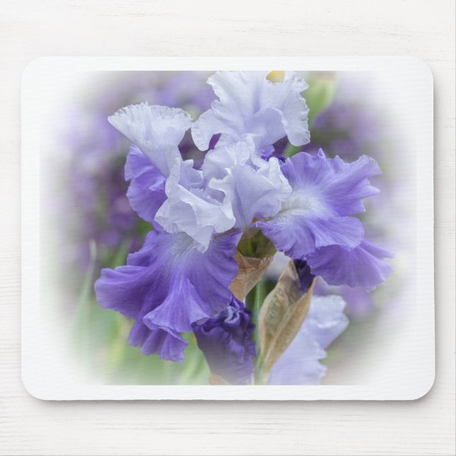 Regal Bearded Iris - Purple & White Mouse Pad (Front)