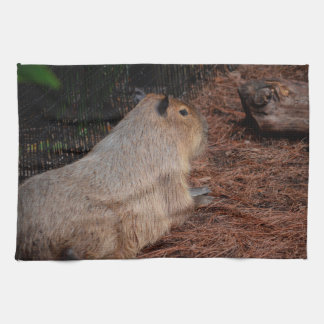 regal capybara back view animal kitchen towel