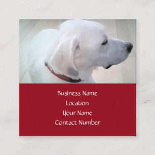 Regal Cute White Labrador Mix Dog Profile Red Square Business Card