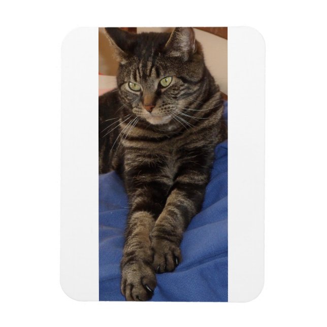 Regal Dave 3"x4" Photo Magnet (Vertical)