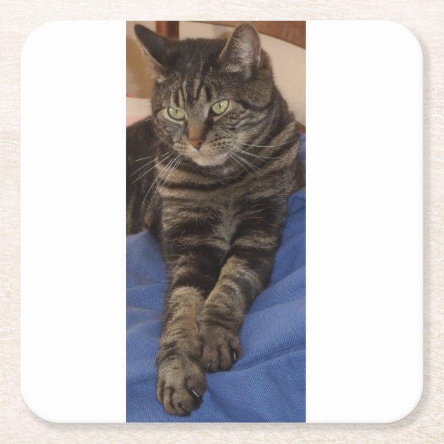 Regal Dave Custom Costers Square Paper Coaster (Front)