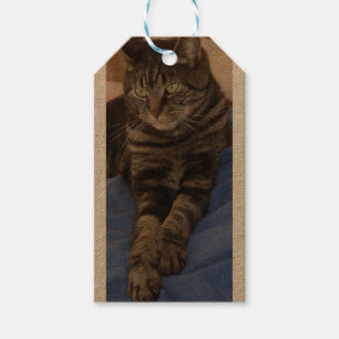 Regal Dave Gift Tag