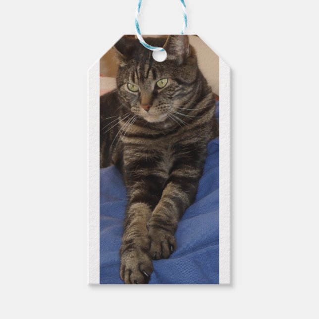 Regal Dave Gift Tag (Front)