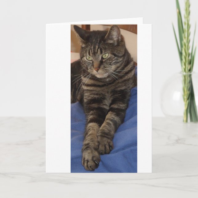 Regal Dave Greeting Cards (Front)