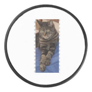 Regal Dave Hockey Puck