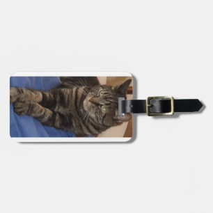 Regal Dave Luggage Tag