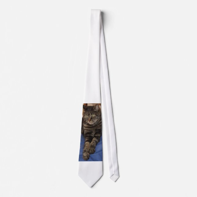 Regal Dave Men's Tie (Front)