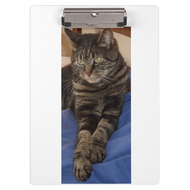 Regal Dave Ultra Sturdy A4 Clipboard (Front)