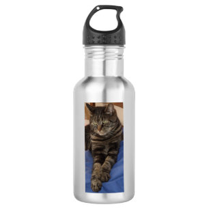 Regal Dave Water Bottle (532 ml), Stainless Steel