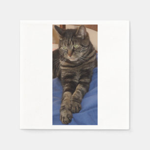 Regal Dave White Standard Napkins