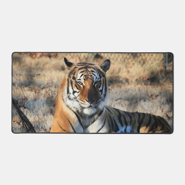 Regal Desk Mat (Front)