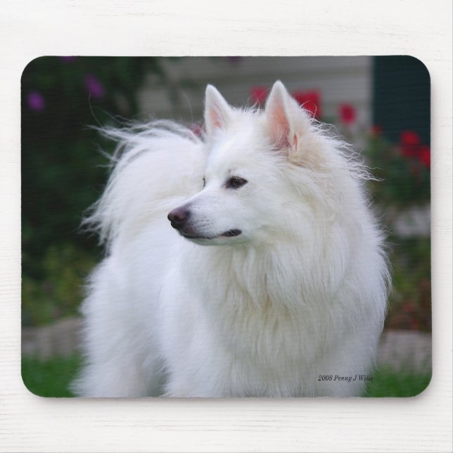 Regal Eskie Mousepad (Front)