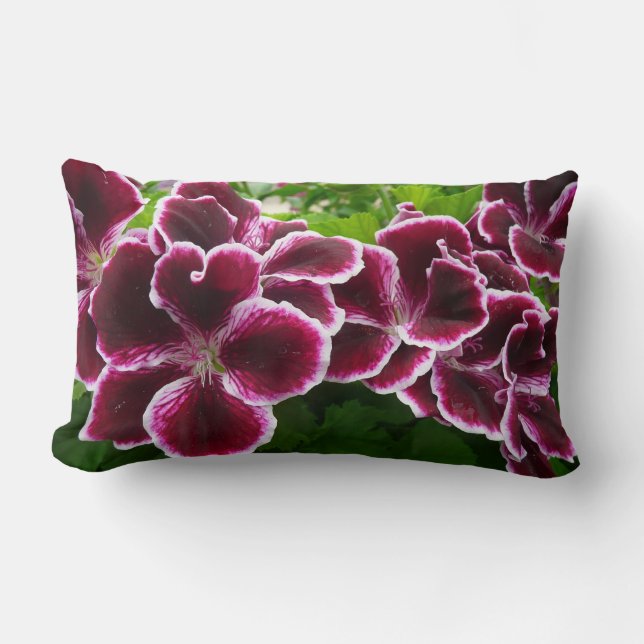 Regal Geranium Flowers Elegant Maroon Floral Lugga Lumbar Pillow (Front)