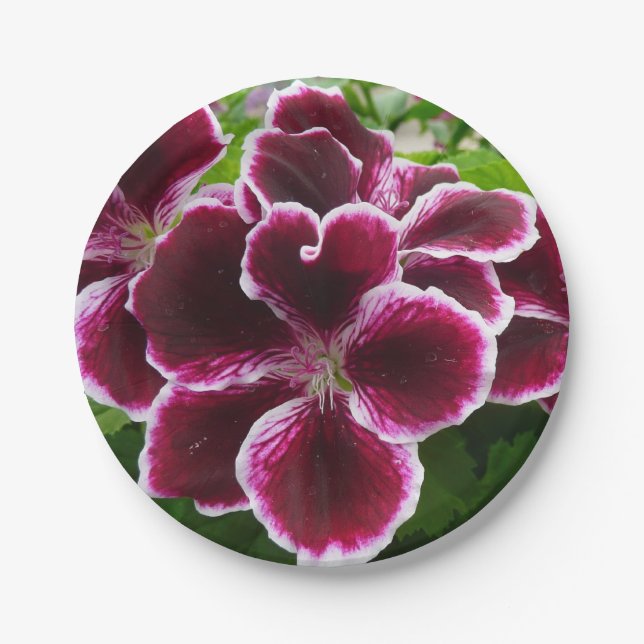 Regal Geranium Flowers Elegant Maroon Floral Paper Plate (Front)