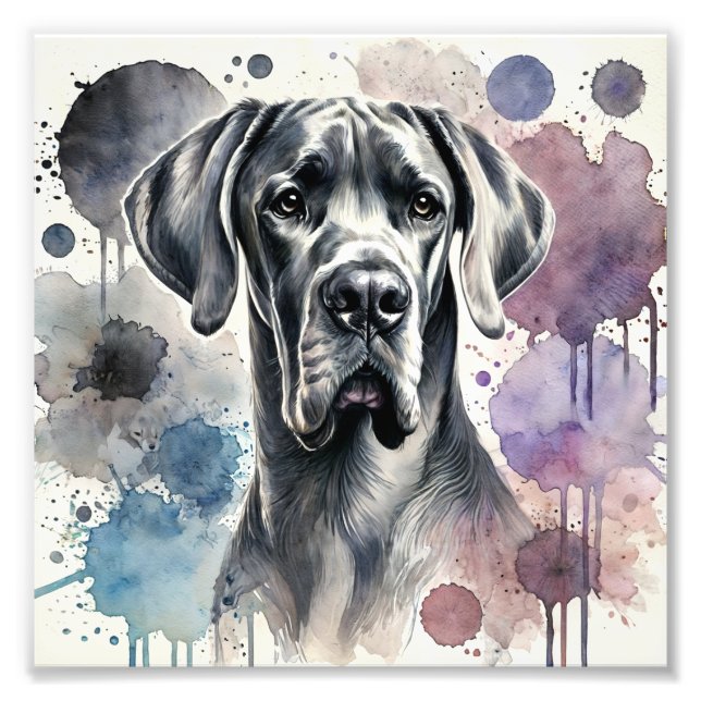 Regal Great Dane Watercolor Print  (Front)