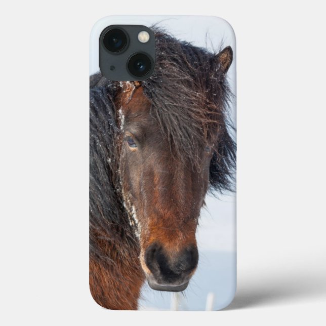 Regal Icelandic Horse Headshot Case-Mate iPhone Case (Back)