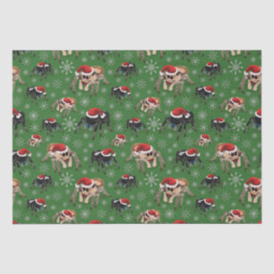 Regal Jumping Spider Phiddipus Regius Holiday Moss Tissue Paper