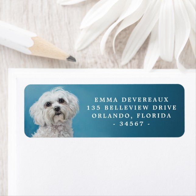Regal Maltese Dog Return Address Label (Insitu)
