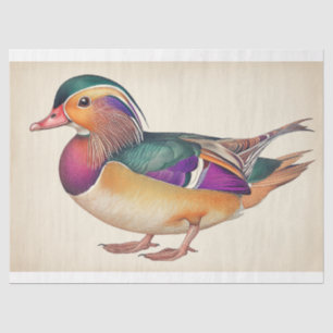 Regal Mandarin Duck Colourful Decoupage Bird Print Tissue Paper