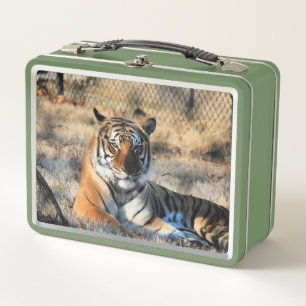 Regal Metal Lunch Box