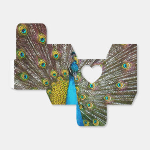 Regal Peacock Bird with Plumage on Display Favor Box