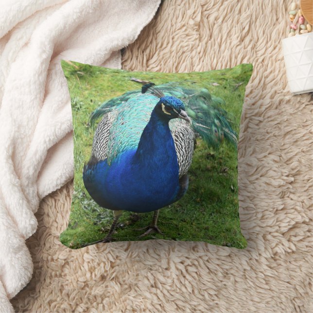 Regal Peacock Power  Throw Pillow (Blanket)