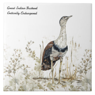 RegalHand-Painted Indian Bustard Bird Tile