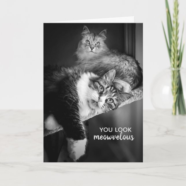 Regard Meowvelt carte d'anniversaire (Devant)