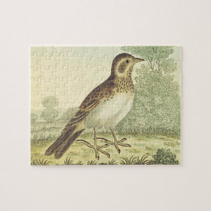 Regarde vintage, Oiseau debout au sol Puzzle