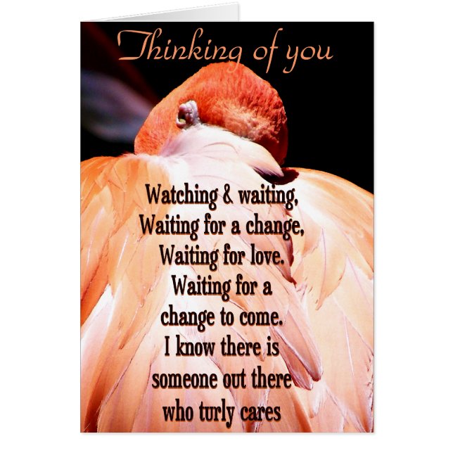 Regarder & Attendre_ (Devant)