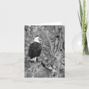 Regarder la carte fixement de note d'Eagle B&W