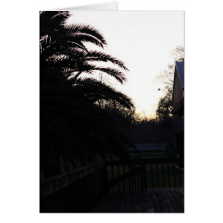 Regarder le coucher du soleil