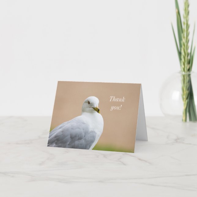 Regarder vers le Carte de remerciements (Devant)