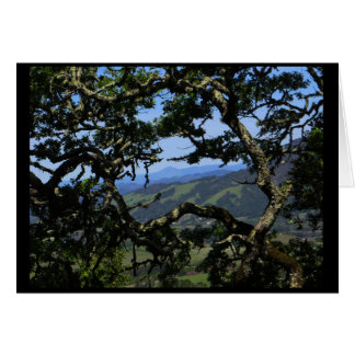 Regardez de la montagne de Sonoma