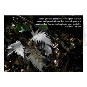 Regardez encore à votre coeur